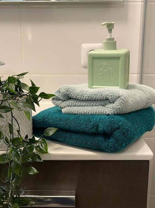 Appartement Familial 8 Personnes Proche De Disney Et Paris Chessy  Extérieur photo